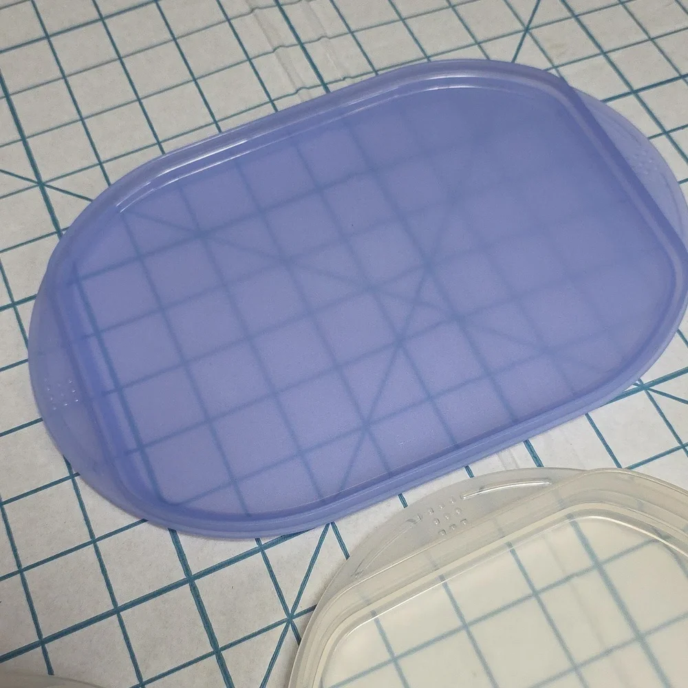 Tupperware Fridge Stackables Deli Meat Keeper Stacking Trays with Blue Lid